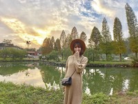季节限定！金黄落羽松映照湖畔　新竹隐藏版景点超梦幻