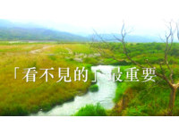 除了好山好水好风景　花东纵谷最大亮点“肉眼看不见”