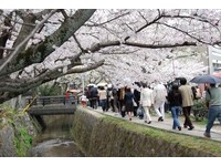 单月208万！4月访日人数创新高　台湾38万人排第2