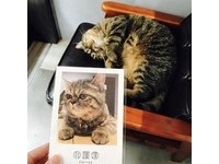 转角遇见咖啡馆！网罗捷运行天宫站三种风格咖啡馆
