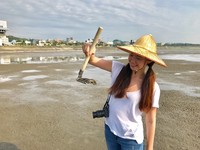 戴斗笠寻宝去！香山湿地赏蟹零距离　伴最美日落嗑牡蛎　