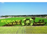 屏东2公顷“恶灵古堡”彩绘稻田　蜜拉现身田间帅翻了