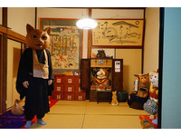 爱猫一族必去！日本“猫咪寺庙”有600只猫坐镇
