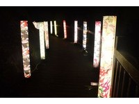 关子岭温泉光雕秀1日首度登场　可见红叶超美！