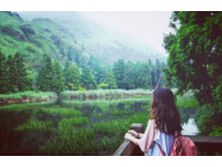 不只泡汤和赏芒！深秋季节的阳明山“一日轻旅行”提案