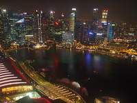 金沙酒店“空中花园”赏夜景好去处　星国景点一次看完