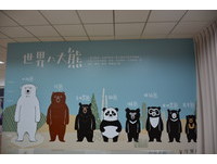 花莲隐藏版新景点！超多娃娃的“东部台湾黑熊教育馆”