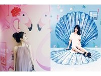 IG打卡新热点！　桃捷车站红鹤、贝壳、冰淇淋粉嫩背景超好拍