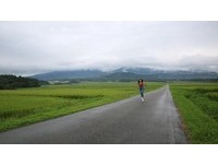日版“伯朗大道”　品一杯会瘦的玄米咖啡
