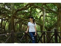 台湾最南端的天然冷气房！与少年Pi在白榕园奇幻漂流