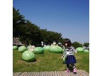 绘本场景搬到现实！埤头公园有“大西瓜”装置艺术