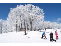 日本、韩国7条自由行滑雪路线懒人包