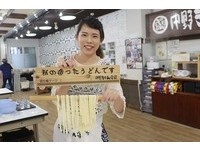 自己的面自己做！来日本手作“赞岐乌冬面”　还能煮来吃