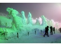 零下10℃的浪漫！日本“藏王树冰点灯”看数千雪怪跳舞