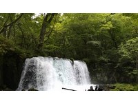秋枫、冬雪美哭了！日本东北6大梦幻景点海鸥、暖桌列车