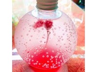 粉樱在手心绽放！台南推全台唯一“樱花炸弹”汽水