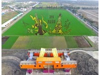 过年人潮多！屏东布袋戏彩绘稻田　空拍图超美