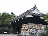 樱花最早、夜城最美　日本天守“高知城”3大必访理由