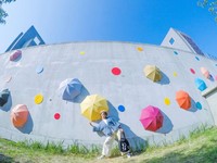 限定2个月免费景点！台中屯区艺文中心梦幻伞墙装置艺术