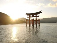 美哭！日本限定梦幻绝景“水上鸟居”5选