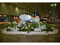 春临桃机　海芋、蝴蝶兰绽放机场航厦