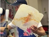 比脸还大的龙虾仙贝　至日本江之岛旅游必吃　