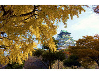 秋天绝美梦幻景点！精选大阪5大“赏枫”秘境