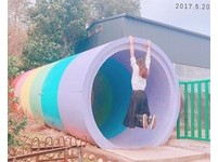 新竹梦幻新景点“彩虹水管隧道”　还可赏黄花风铃木！