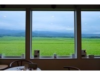 宛如活在田园画里！稻田里遗世独立的美景咖啡厅