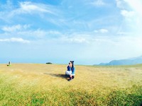 疗愈身心灵的春日时光！精选“全台3处草原仙境”