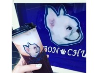 中原夜市爆红饮料店　可爱法斗与你共度饮茶时光