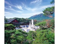 【广编】台湾虎航台北直飞大邱　玩出不一样的韩国
