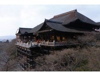 日本5间“凶签”最多的寺院　浅草寺、清水寺都上榜