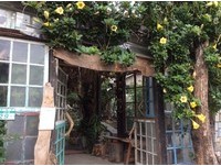 踏进森林系宫崎骏动画场景　台南“千畦种子博物馆”