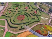 石虎掌花海迷宫萌度爆表！台中国际花毯节空拍抢先看