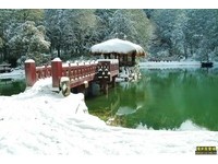 阿里山百年大雪将再现？2005绝美雪景照让网友直呼好美