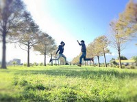 宜兰小欧洲！三星乡落羽松秘境　打造全台首座天空绿廊　