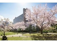 日本樱花秘境！这间饭店每一间房里都可以赏樱