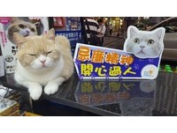 “奶油哥”今晚告别尖东！　约定粉丝10点半脸书见