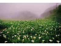 全台10大3月份活动懒人包　高雄驳二变身动物园？