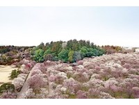 一次看日本三大名园及三大瀑布　威航3月开航茨城