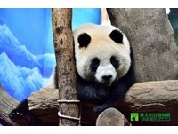 不怕找不到车位停！台北市立动物园地下停车场17日营运