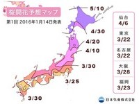 日本樱花预想公布！东京3/22、大阪3/28开花