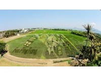 抢先曝光！屏东彩稻节与长荣合作　田上出现飞机和城门