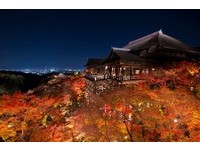 来场梦幻红叶狩！2016京都赏枫“夜间点灯全攻略”