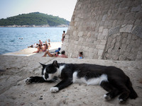 魔女宅急便取景地！在克罗地亚海边古城寻找黑猫吉吉