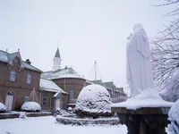 冻感北海道！银色世界玩雪趣　小樽雪景浪漫无限