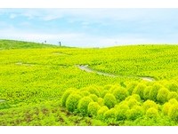 暑假出国不再贵森森！亲子游东京2万有找、九州10999起