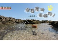毛小孩的夏日旅行！在地人推荐垦丁10间宠物友善民宿