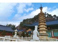 穿越平昌千年林步道　月精寺3门八角九层塔美翻！